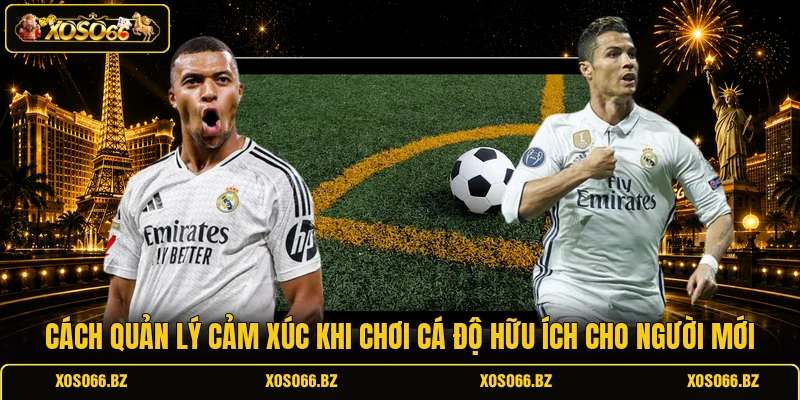 Cách Quản Lý Cảm Xúc Khi Chơi Cá Độ Hữu Ích Cho Hội Viên 2 Cách quản lý cảm xúc khi chơi cá độ hữu ích cho người mới