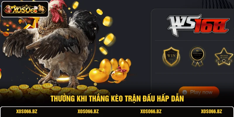 Đá Gà XOSO66 3 Thưởng khi thắng kèo trận đấu hấp dẫn