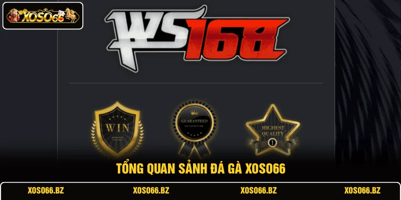 Đá Gà XOSO66 1 Tổng quan sảnh đá gà XOSO66